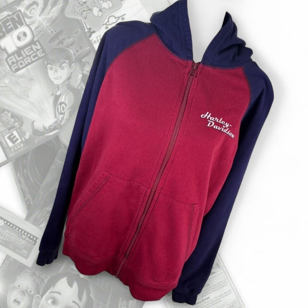 Vintage Y2K Red Blue Harley Davidson Graphic Zip Up Hoodie W/ Sleeve Hit